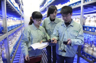 產(chǎn)業(yè)服務(wù)與技術(shù)推廣服務(wù) 驅(qū)動經(jīng)濟(jì)高質(zhì)量發(fā)展的雙引擎